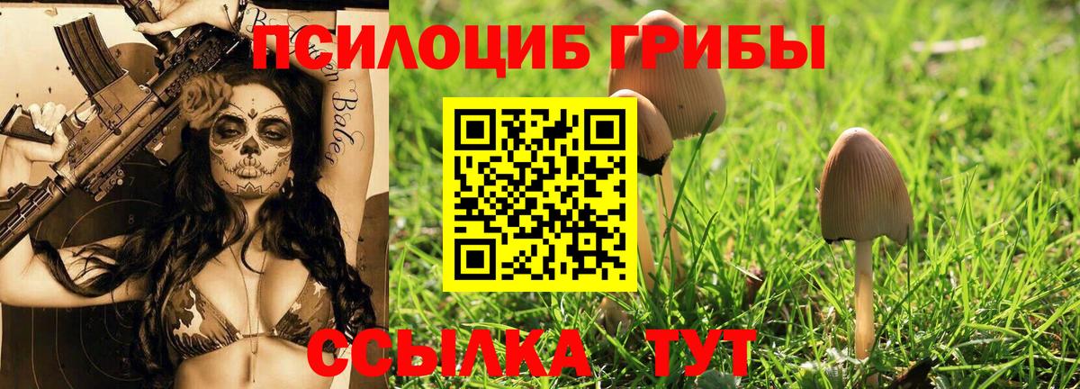 Галлюциногенные грибы ЛСД Лесной