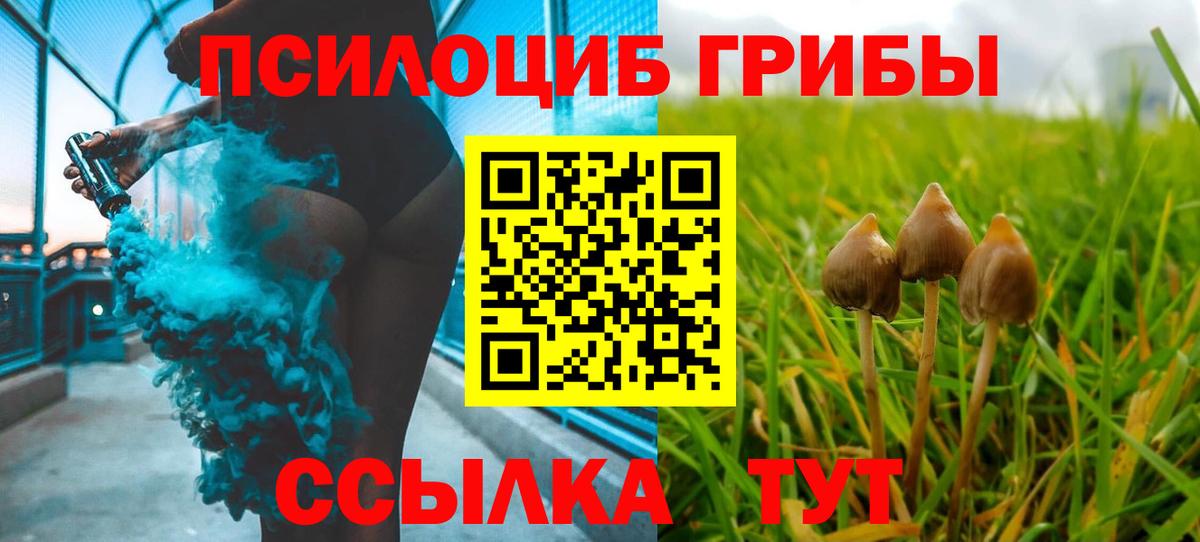 Псилоцибиновые грибы Magic Shrooms  Вход с VPN  Лесной 